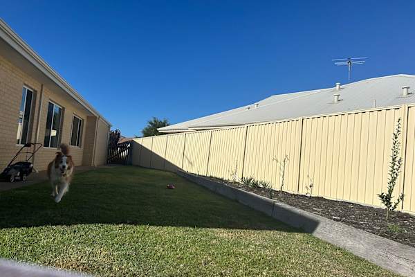 House sit in Dunsborough, WA, Australia