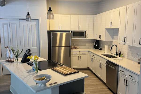 House sit in Dallas, TX, US