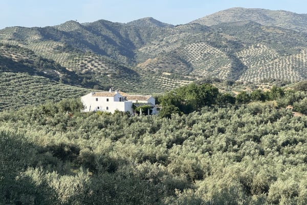House sit in Algarinejo, Spain
