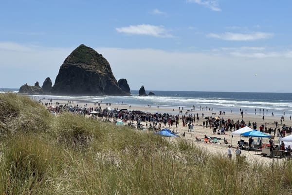 House sit in Seaside, OR, US