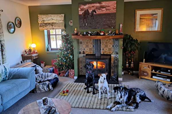 House sit in Keith, United Kingdom