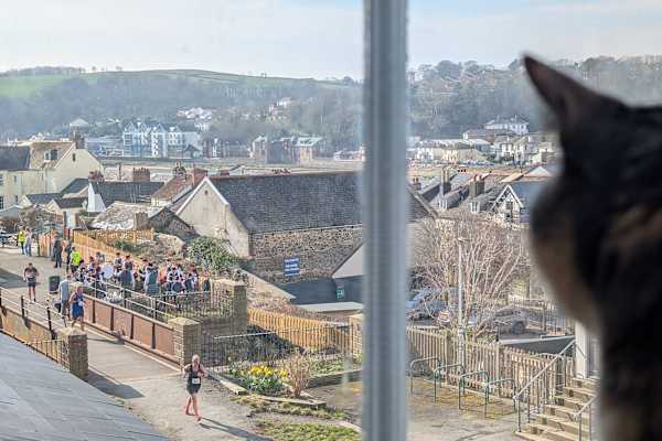 House sit in Bideford, United Kingdom