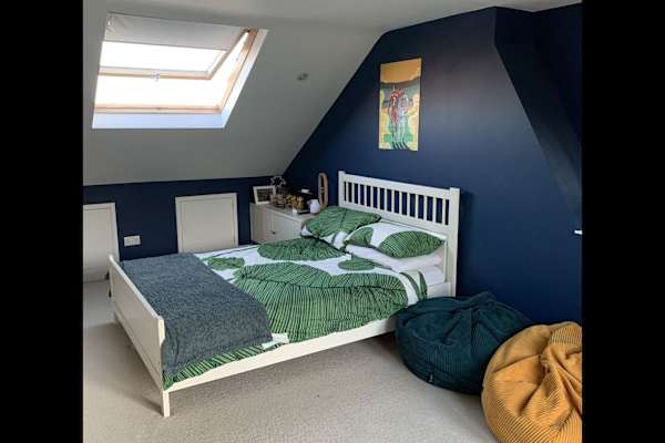 House sit in Brighton, United Kingdom