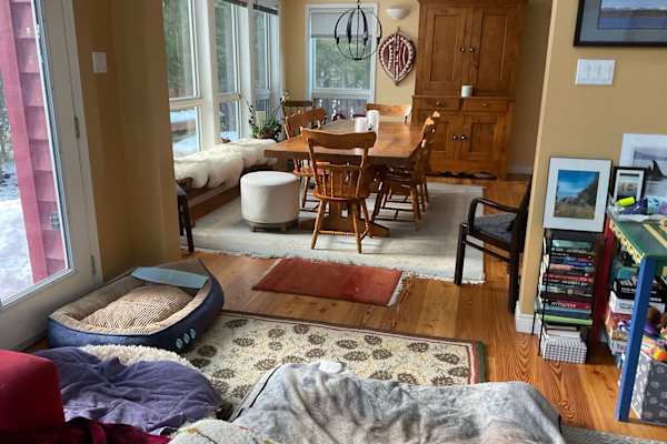 House sit in Fernie, BC, Canada