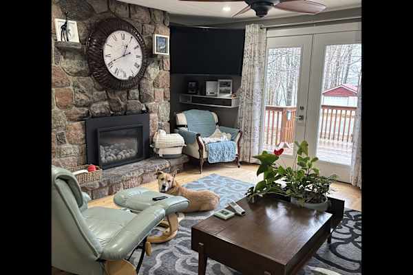 House sit in Toronto, ON, Canada