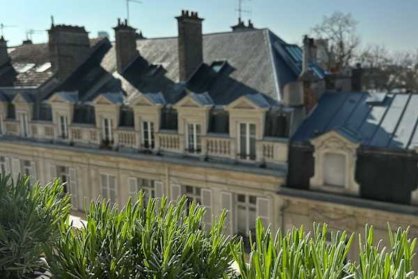 House sit in Reims, France