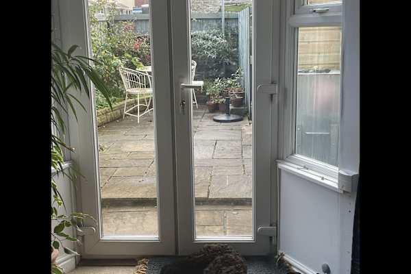 House sit in Porthleven, United Kingdom