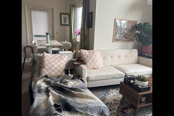 House sit in Detroit, MI, US