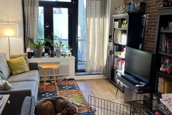 House sit in New York City, NY, US