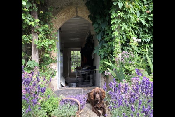 House sit in Stow on the Wold, United Kingdom