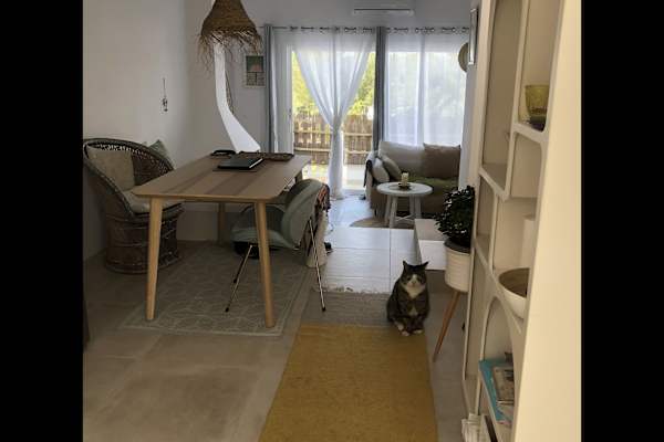 House sit in Ibiza, Spain