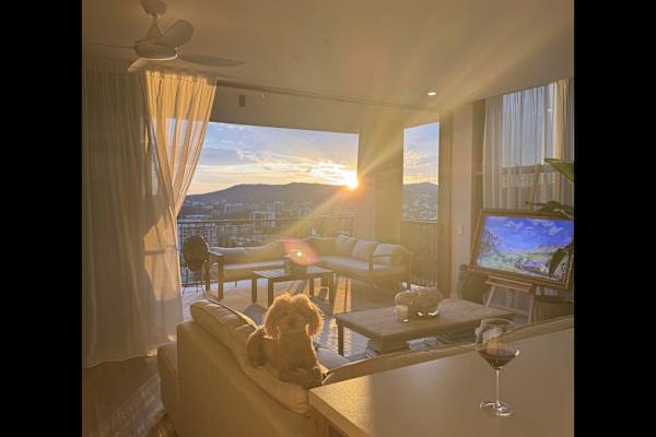 House sit in Brisbane, QLD, Australia