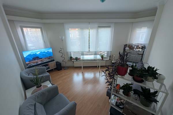 House sit in Brussels, Belgium