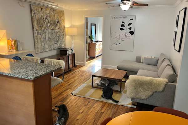 House sit in Brooklyn, NY, US