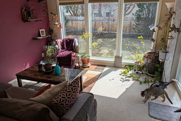 House sit in Bend, OR, US