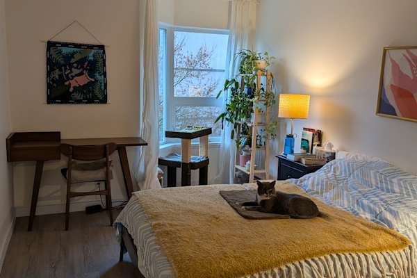 House sit in Vancouver, BC, Canada