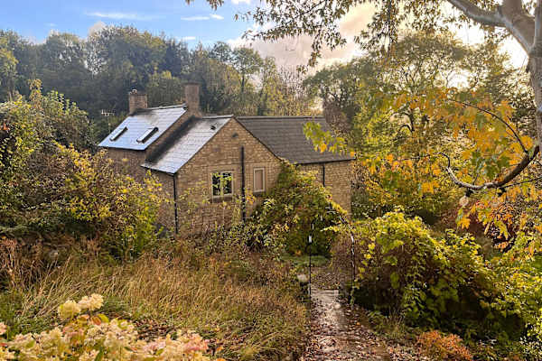 House sit in Stroud, United Kingdom