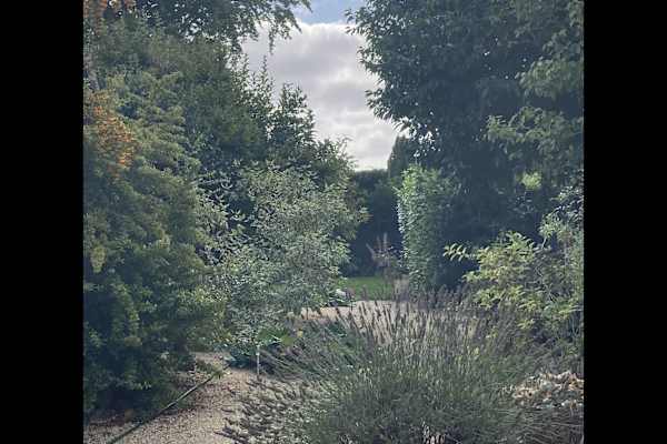 House sit in Westley, United Kingdom