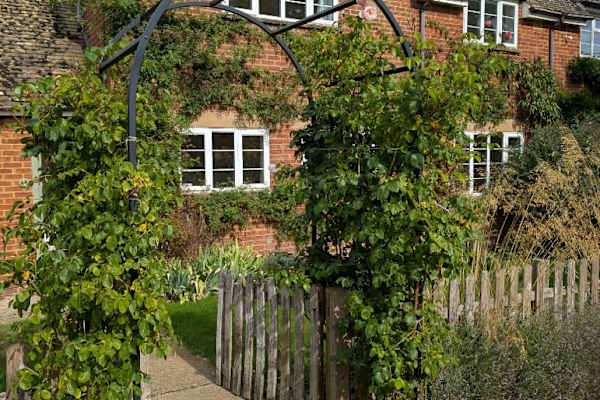 House sit in Banbury, United Kingdom