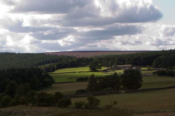 House sit in Ripon, United Kingdom
