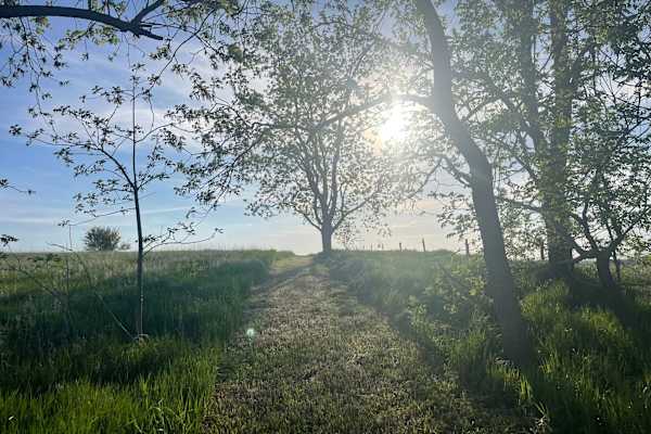 House sit in Gilman, IA, US