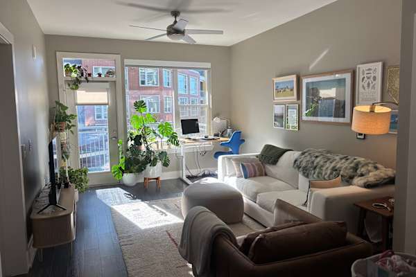 House sit in Denver, CO, US
