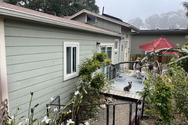 House sit in Santa Cruz, CA, US