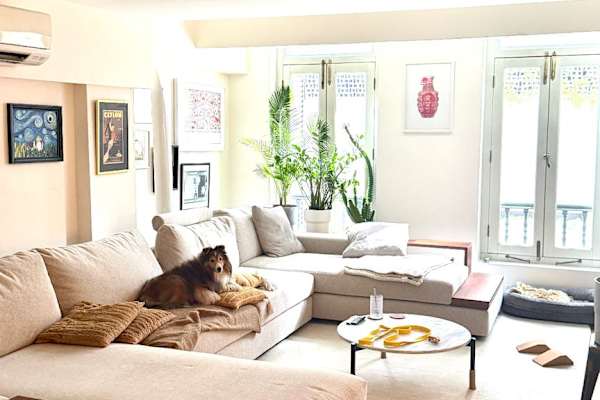 House sit in Bugis, Singapore