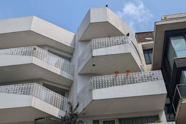 House sit in New Delhi, India