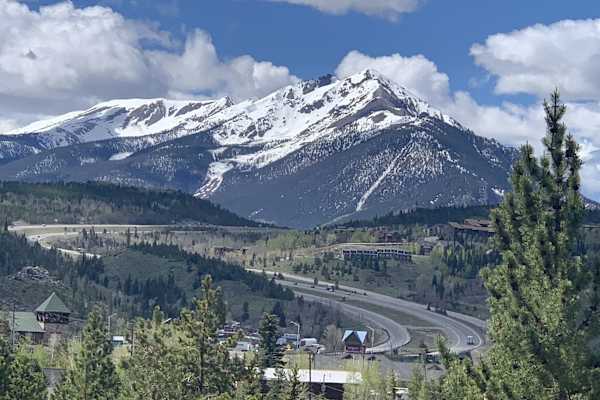 House sit in Denver, CO, US