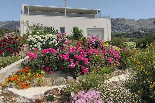 House sit in Myrthianós Plakiás, Greece