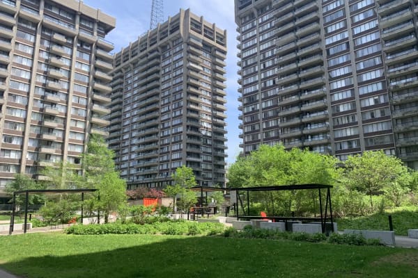 House sit in Montréal, QC, Canada