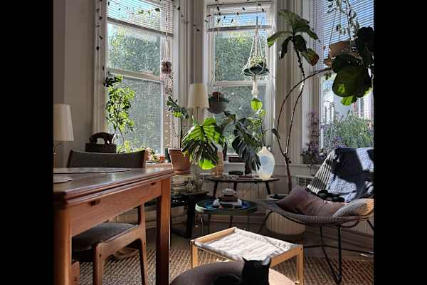 House sit in Ridgewood, NY, US