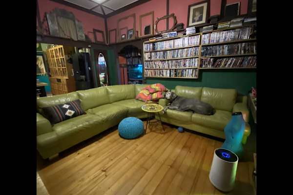 House sit in Ipswich, QLD, Australia