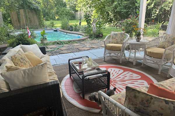 House sit in Toronto, ON, Canada