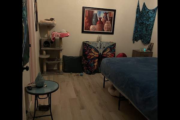 House sit in Waikoloa Village, HI, US