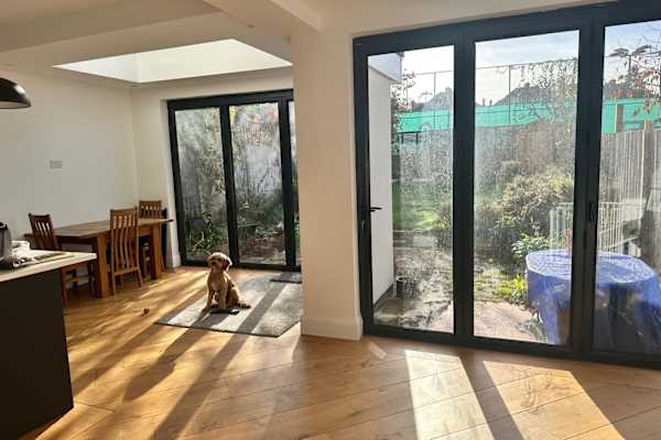 House sit in London, United Kingdom