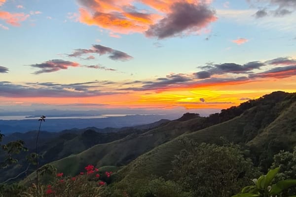 House sit in Monteverde, Costa Rica