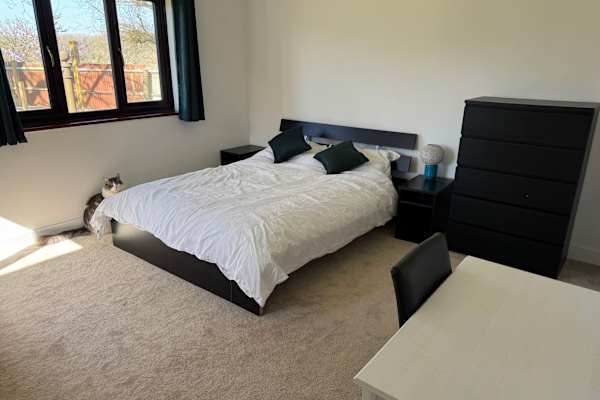 House sit in Kingsley, United Kingdom