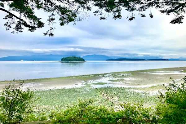 House sit in Anacortes, WA, US