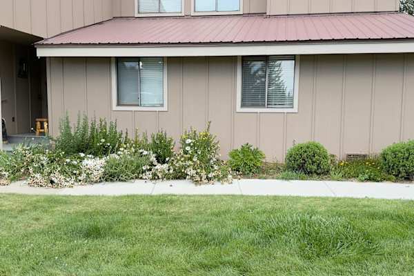 House sit in Pagosa Springs, CO, US