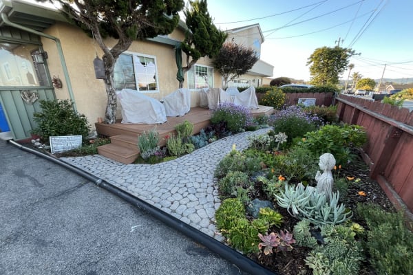 House sit in San Luis Obispo, CA, US