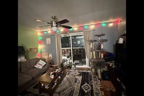 House sit in Springfield, IL, US