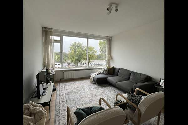 House sit in Utrecht, Netherlands