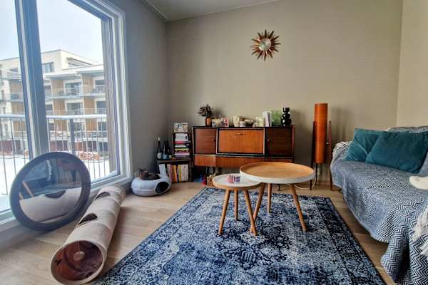 House sit in Moss, Norway