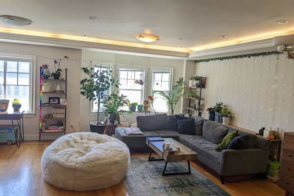 House sit in San Francisco, CA, US
