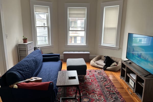 House sit in Cambridge, MA, US