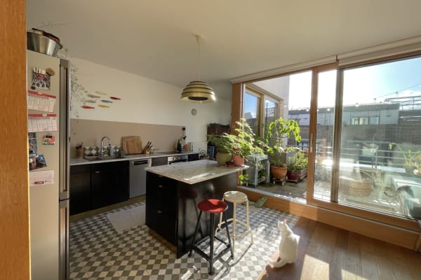 House sit in Köln, Germany