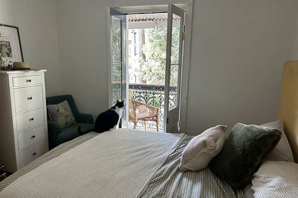 House sit in Sydney, NSW, Australia