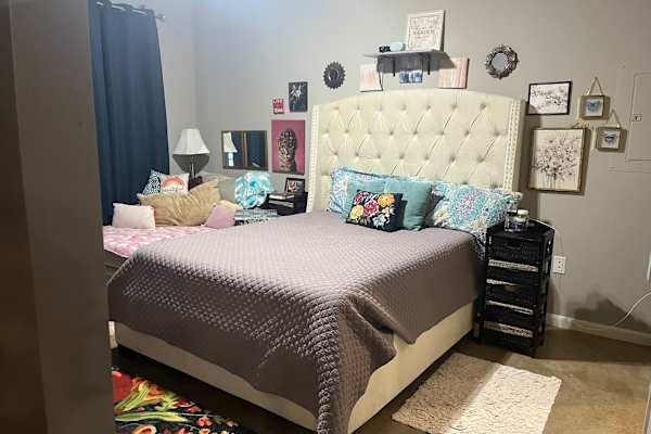 House sit in Plano, TX, US